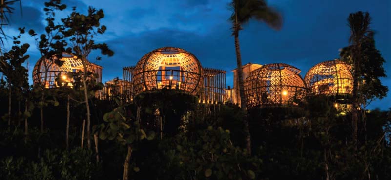 Bamboo in Resort Construction: The Future of Sustainable Luxury